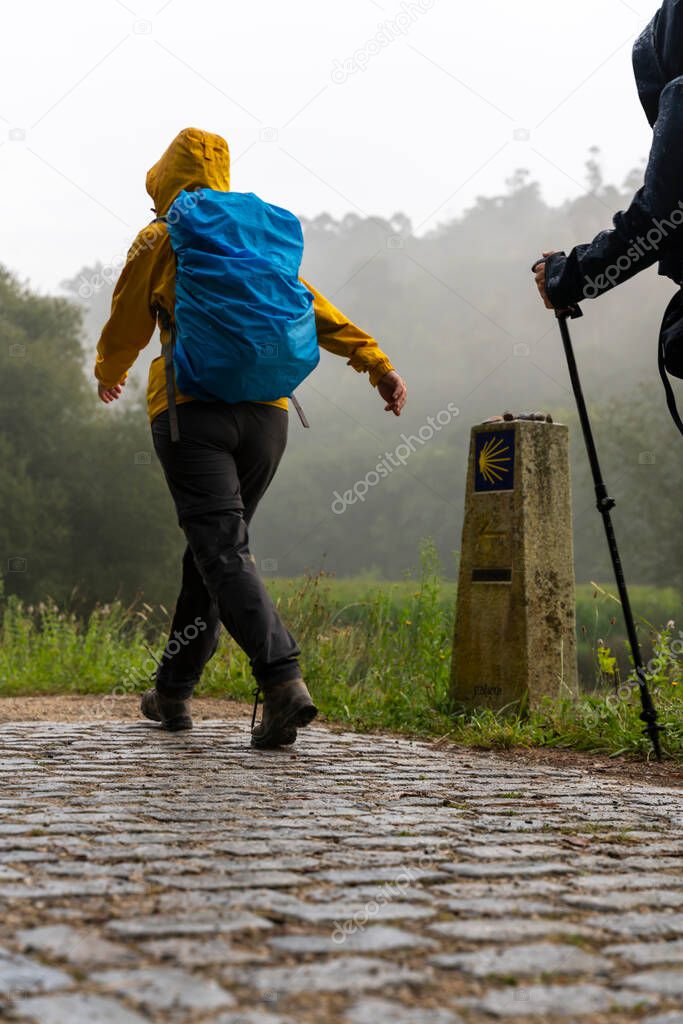 pilgrims walking on the way to St James (Santiago) on a foggy day in Galici