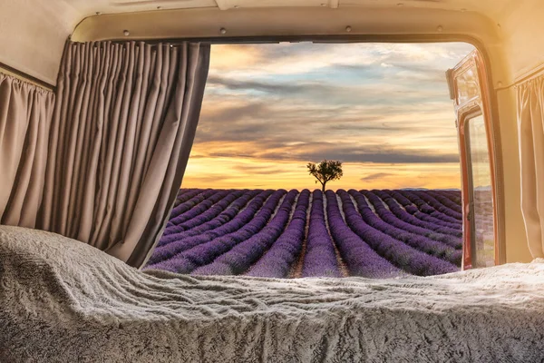 Uitzicht Vanaf Binnenkant Van Een Camper Aangepast Lavendelvelden Herkomst Frankrijk Rechtenvrije Stockafbeeldingen