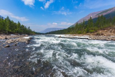 Hoisey Nehri. Putorana Platosu 'nda kutup günü, Taimyr, Rusya