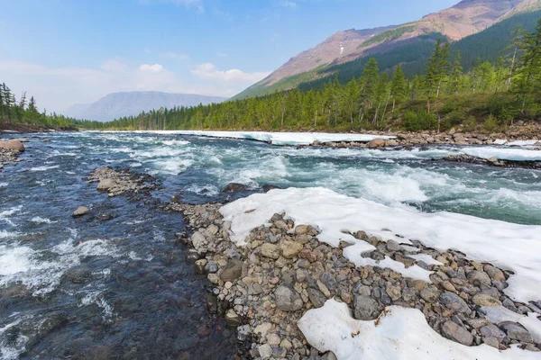 Rzeka Hoisey Dzień Polarny Płaskowyżu Putorana Taimyr Rosja — Zdjęcie stockowe