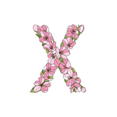 Elma ağacı çiçeklerinin X harfi. Vektör alfabesi