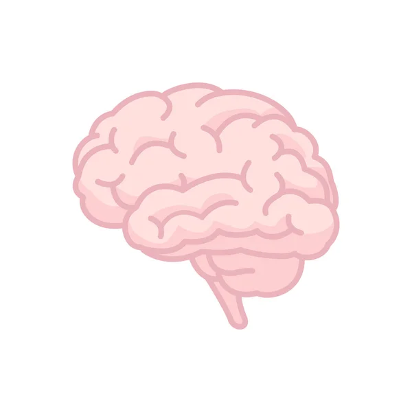 Human Brain Icon Flat Vector Symbol White — Stock Vector