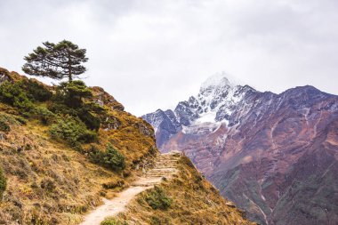 Everest ana kampına giden yol. Nepal 'de. Himalaya Dağları