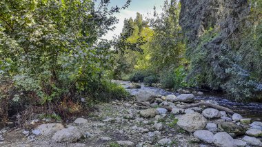 Wadi Sorek Kudüs 'ün yeşil ormanında