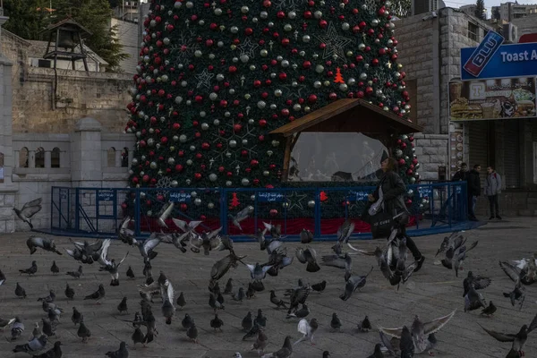 light decorations and christmas trees during new year celebration in Nazareth city in 2021
