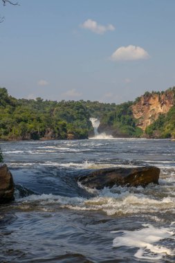 Murchison falls national park in Uganda
