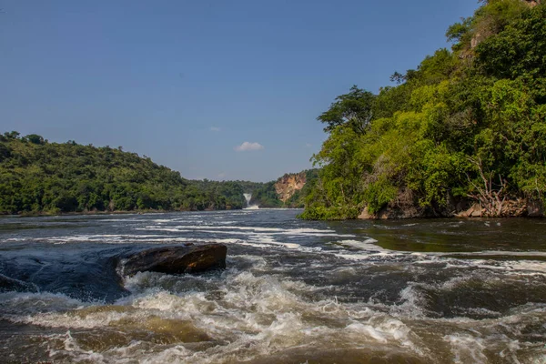 Murchison Falls National Park Uganda — Fotografia de Stock
