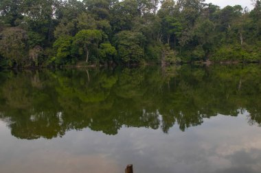 Lake Nkuruba Nature Reserve was established in 1991 to protect the ancient forest habitat which surrounds the volcanic crater lake