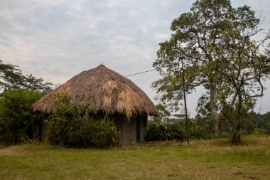 Lake Nkuruba Nature Reserve was established in 1991 to protect the ancient forest habitat which surrounds the volcanic crater lake