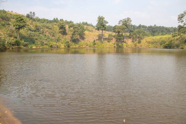 Lake Nkuruba Nature Reserve was established in 1991 to protect the ancient forest habitat which surrounds the volcanic crater lake
