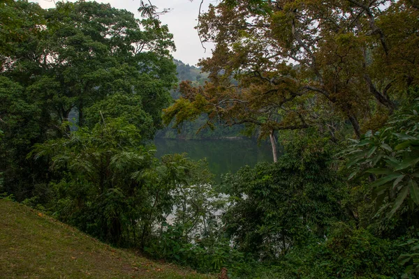 Lake Nkuruba Nature Reserve Established 1991 Protect Ancient Forest Habitat — Fotografia de Stock