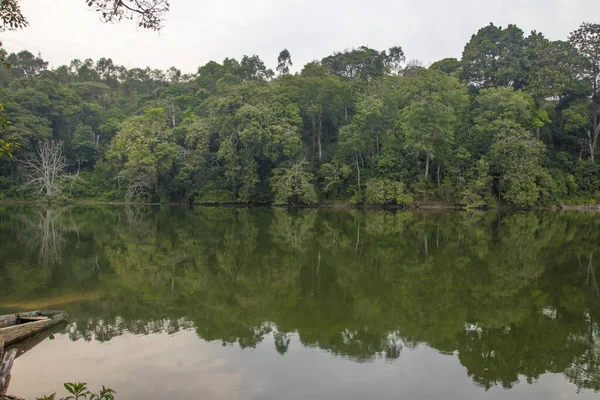 Lake Nkuruba Nature Reserve Established 1991 Protect Ancient Forest Habitat — Fotografia de Stock