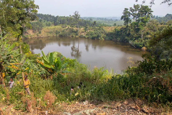 Lake Nkuruba Nature Reserve was established in 1991 to protect the ancient forest habitat which surrounds the volcanic crater lake
