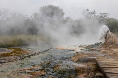 Sempaya Hot Springs are the most outstanding attractions in Semiliki national park