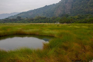Sempaya Hot Springs are the most outstanding attractions in Semiliki national park