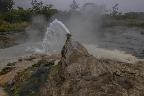 Sempaya Hot Springs are the most outstanding attractions in Semiliki national park