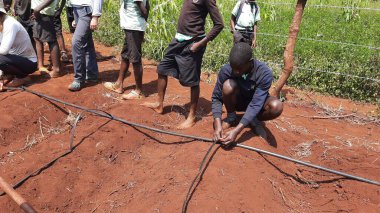 Okul çocukları topraklarını Uganda 'da çeşitli meyve ve sebzeler yetiştirmek için hazırlıyorlardı.