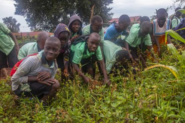 Okul çocukları topraklarını Uganda 'da çeşitli meyve ve sebzeler yetiştirmek için hazırlıyorlardı.
