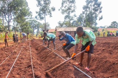 Okul çocukları topraklarını Uganda 'da çeşitli meyve ve sebzeler yetiştirmek için hazırlıyorlardı.