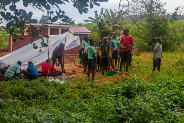 Okul çocukları topraklarını Uganda 'da çeşitli meyve ve sebzeler yetiştirmek için hazırlıyorlardı.