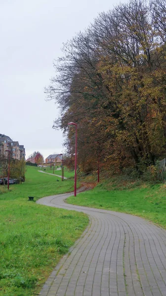 Gri gökyüzü olan bir parkta dolambaçlı bir yol. Ottignies, Belçika