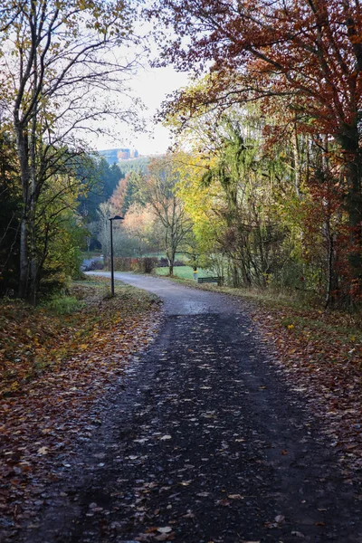 Almanya 'nın Landal Wirfttal şehrinde sonbahar boyunca ormanda yol