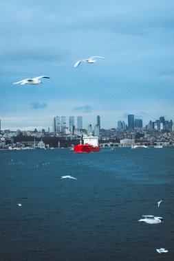 Kanatları açık uçan güvercinler ve arka planda İstanbul ve Türkiye