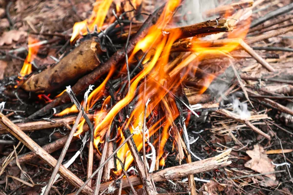 薪棒で火を燃やすのを閉じる — ストック写真