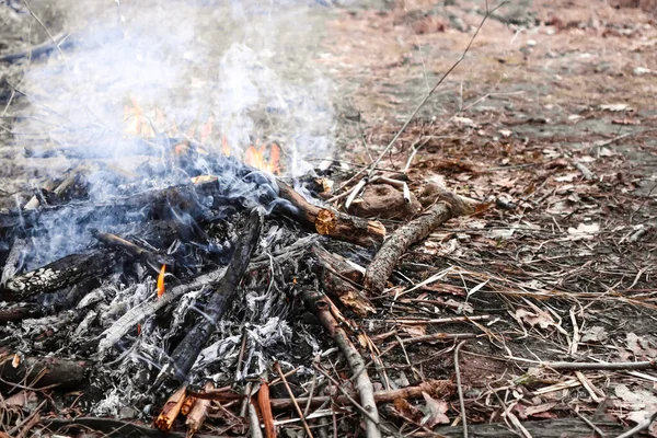 Close up of fire being extinguished in nature during autumn season