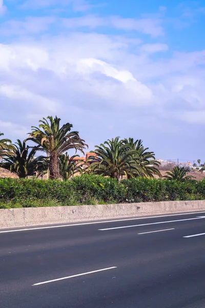 Tropical Palm Tree Street Las Palmas Duirng Sunny Day — Stock Photo, Image