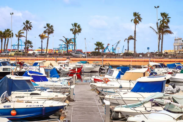 Zadokowane Jachty Łodzie Słoneczny Dzień Palmy Las Palmas Hiszpania — Zdjęcie stockowe