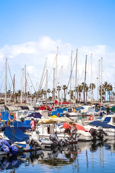 Zadokowane Jachty Łodzie Słoneczny Dzień Palmy Las Palmas Hiszpania — Zdjęcie stockowe