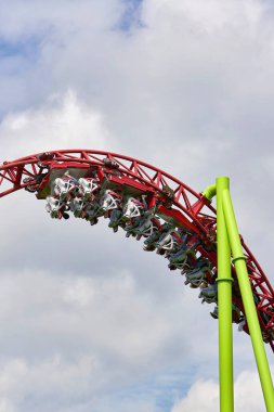 İnsanlar St. Petersburg 'daki şehir parkında geziyorlar.