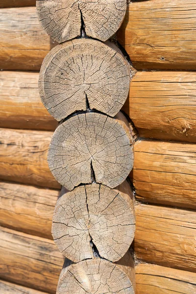 Textuur Van Boom Snede Van Een Stam Verticaal Schot — Stockfoto