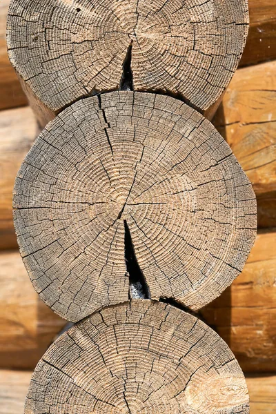 Texture Tree Cut Log Vertical Shot — Stock Photo, Image