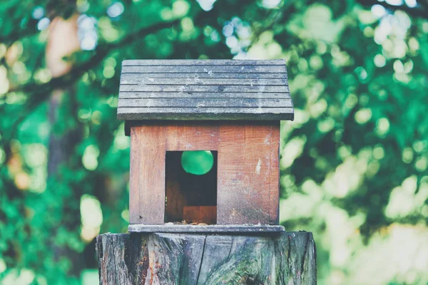 Casa de pájaros de madera en forma de casa en un tocón en el parque —  Fotos de Stock