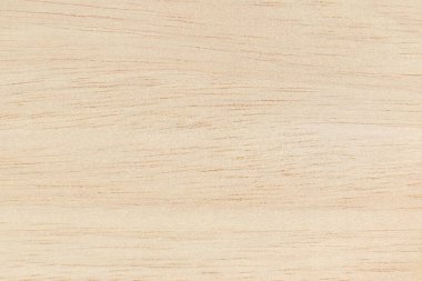 Yüksek çözünürlüklü doğal desenli bir Hollywood yüzeyi. Tahta taneli doku arkaplanı.