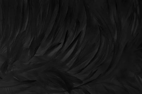 Beautiful Black Grey Bird Feathers Pattern Texture Background — Stock Photo, Image