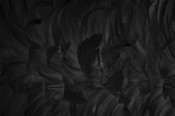 Beautiful Black Grey Bird Feathers Pattern Texture Background — Stock Photo, Image