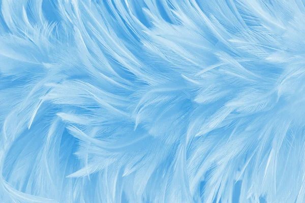 Beautiful Blue Pastel Bird Feathers Pattern Texture Background — Zdjęcie stockowe