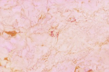 Yüksek çözünürlüklü gül sarısı mermer döşeme, iç ve dış dekorasyon için pırıl pırıl parlayan lüks desenli doğal fayansların en üst görüntüsü..