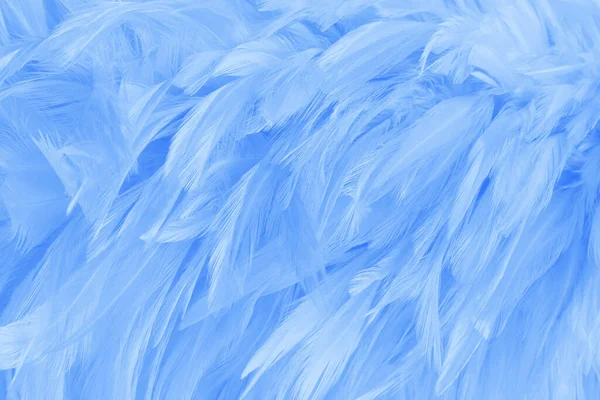 Hermoso Azul Pastel Plumas Patrón Textura Fondo — Foto de Stock