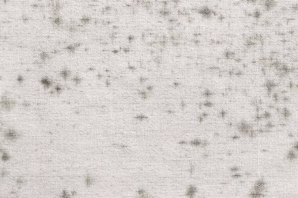 Fungus Fabric Texture Old White Cotton Black Mold Spots Dirty — ストック写真