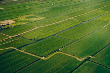 Hollanda 'da. Yeşil Alanın Hava Fotoğrafı