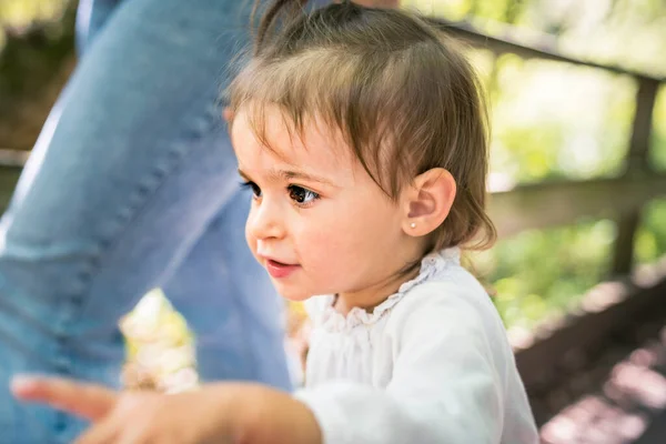 Two years child girl in forest holding parents hand — Stock Photo, Image