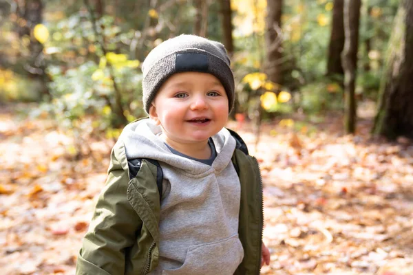 Kleine peuter jongen in de herfst park lopen eenzaam — Stockfoto