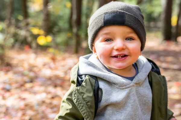 Liten småbarn pojke i höst park promenader ensam — Stockfoto