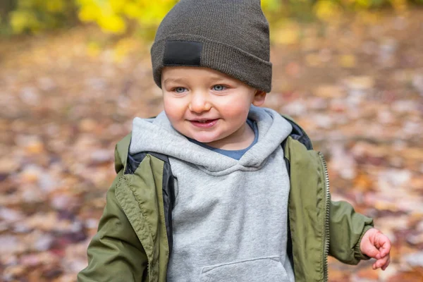 Pequeño niño en el parque de otoño caminando solo —  Fotos de Stock