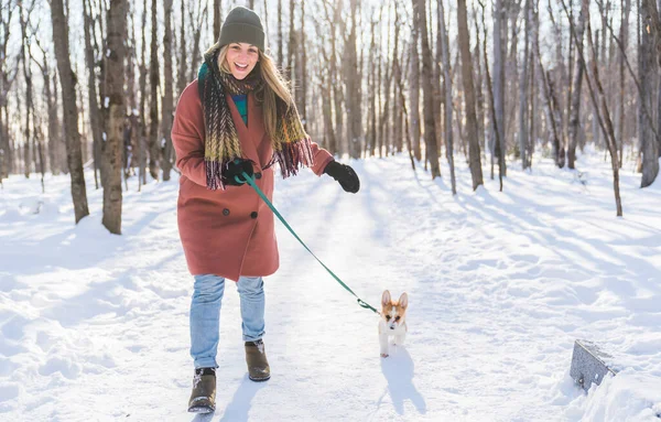 Mladá šťastná žena baví v zasněžené zimní park s Corgi baby dog — Stock fotografie