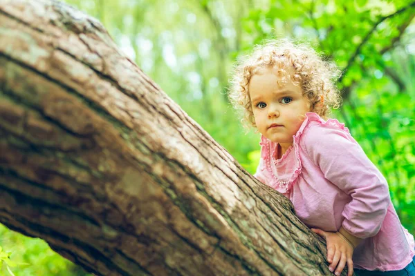 Petite fille sur l'arbre en été sur la nature petite fille — Photo